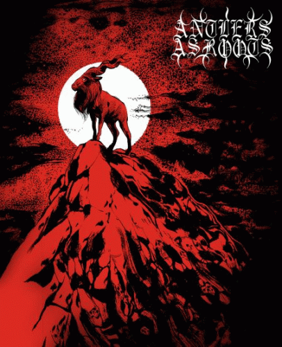 Antlers As Roots : Finite